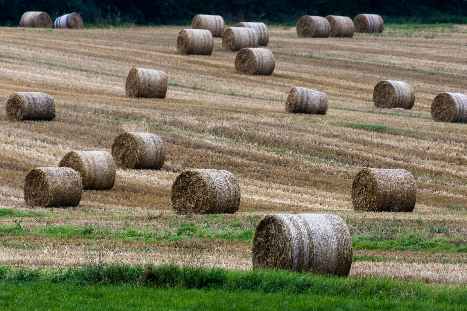 Baler Belts