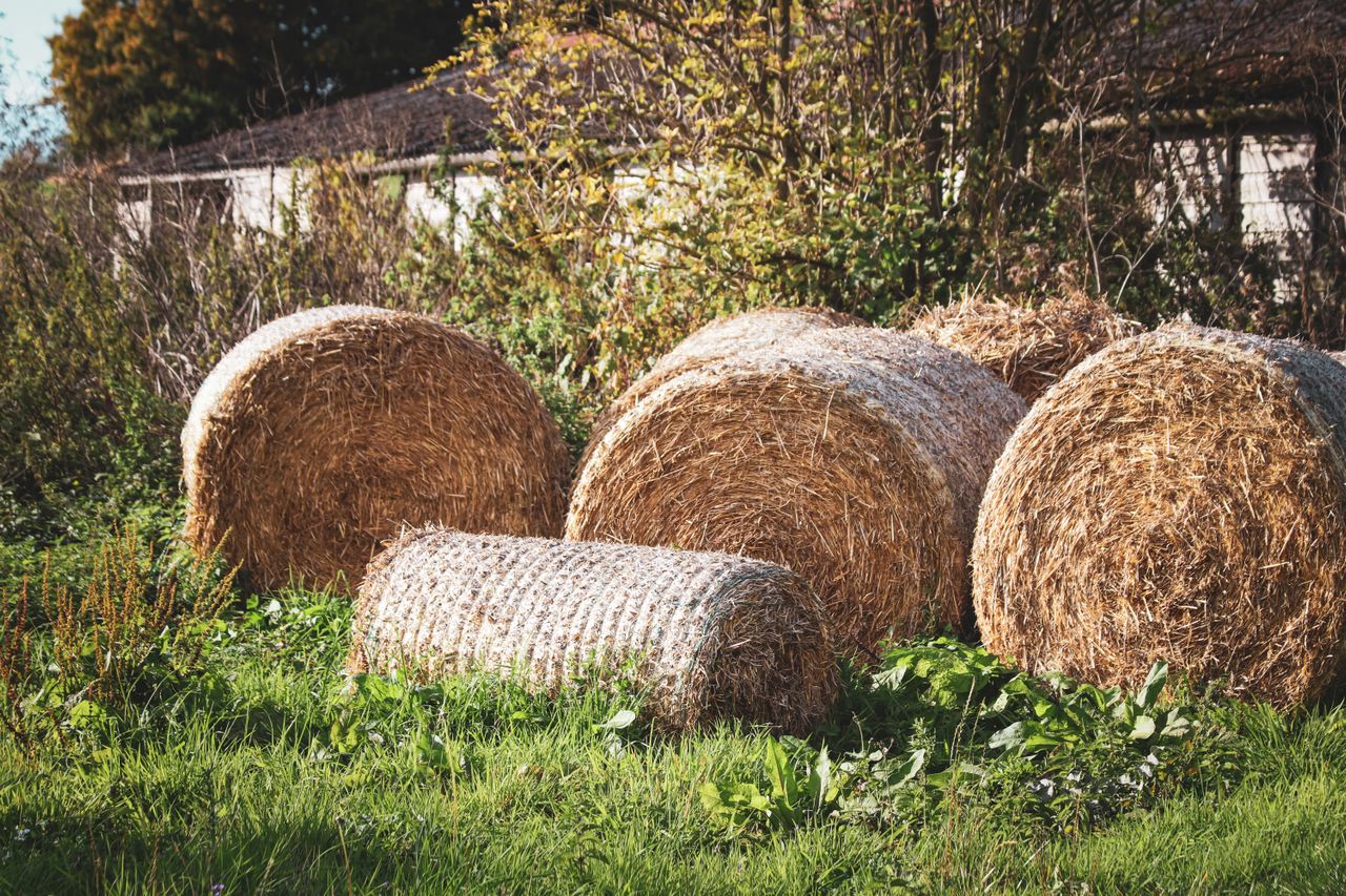 Hay Balers
