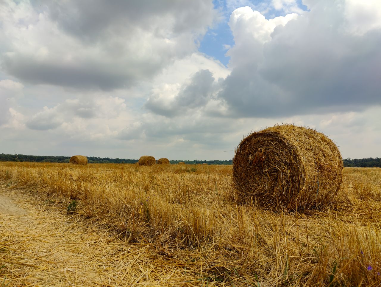 Baler Belts