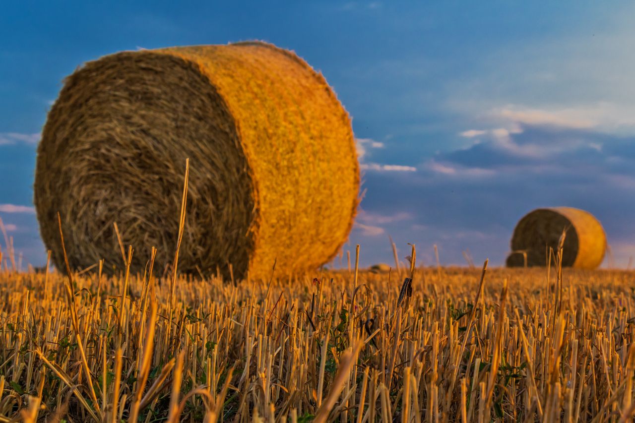 Round Baler Belts